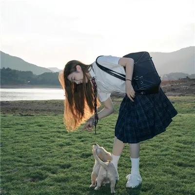 黄金鸟